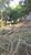 Terreno, 1340 m² - Foto 4