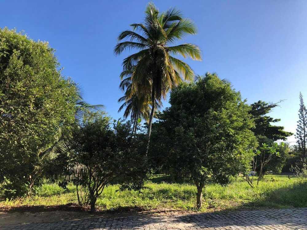 Terreno, 400 m² - Foto 9