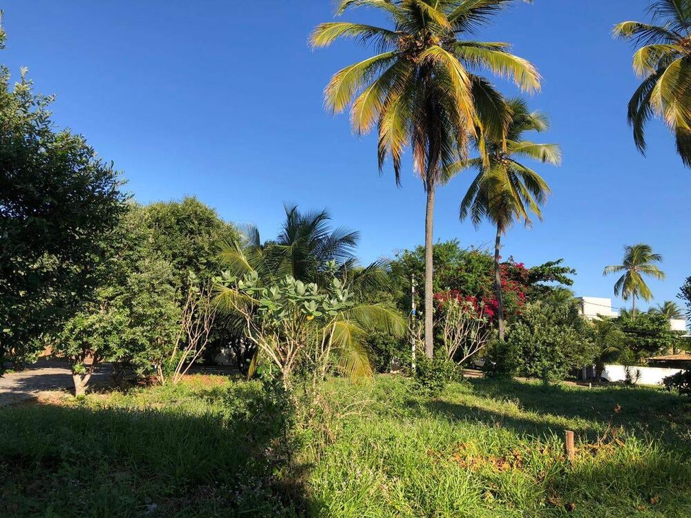 Terreno, 400 m² - Foto 11