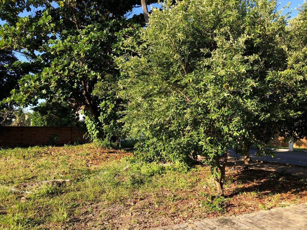 Terreno, 400 m² - Foto 7