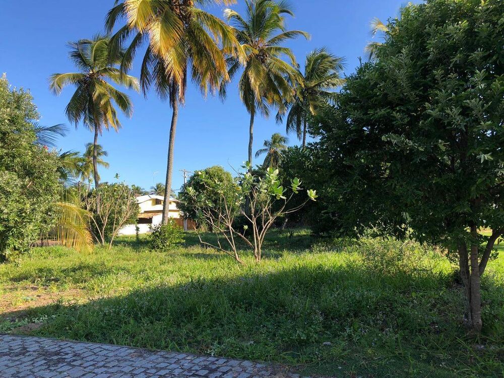 Terreno, 400 m² - Foto 10