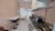 Apartamento, 2 quartos, 55 m² - Foto 20