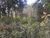 Terreno, 3000 m² - Foto 2