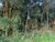 Terreno, 3000 m² - Foto 4