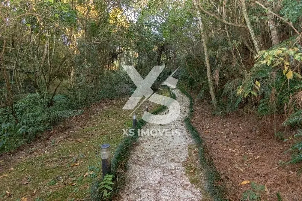 Casa, 3 quartos, 220 m² - Foto 4