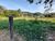 Terreno, 5320 m² - Foto 2