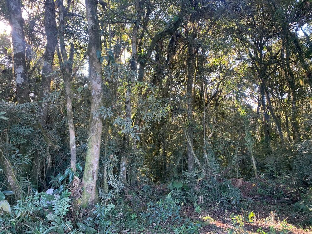 Terreno à venda, 10m² - Foto 4
