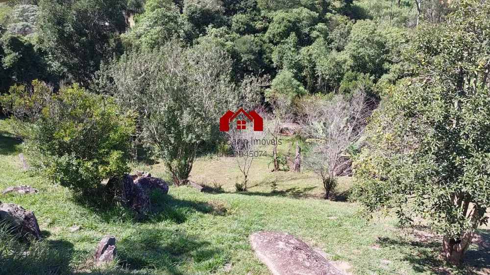 Chácara, 4 quartos, 3200 m² - Foto 5