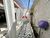 Casa, 2 quartos, 60 m² - Foto 26