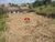 Terreno, 250 m² - Foto 5