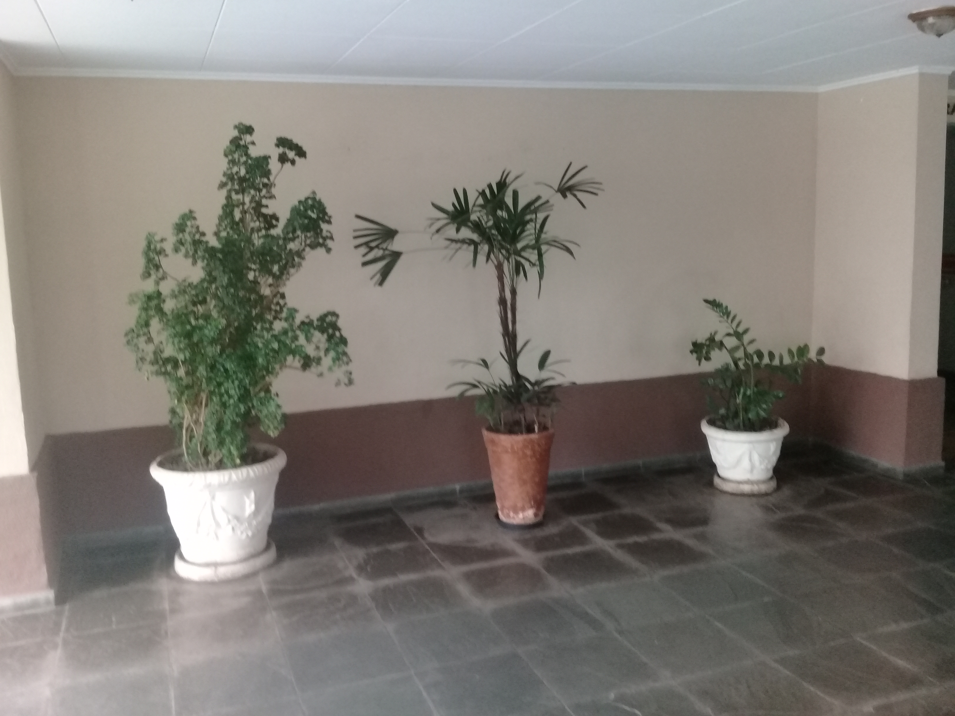 Apartamento, 2 quartos, 67 m² - Foto 2