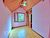 Casa, 3 quartos, 514 m² - Foto 5