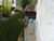 Casa, 7 quartos, 942 m² - Foto 2