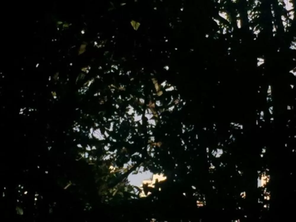 Terreno, 1510 m² - Foto 4