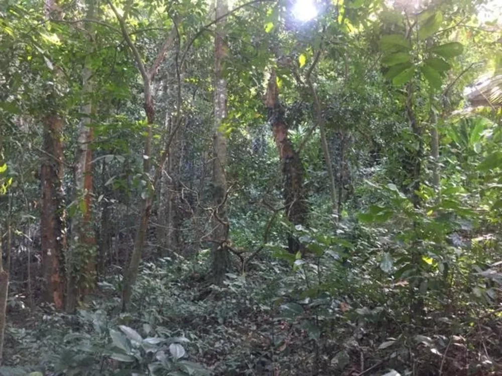 Terreno, 1510 m² - Foto 3