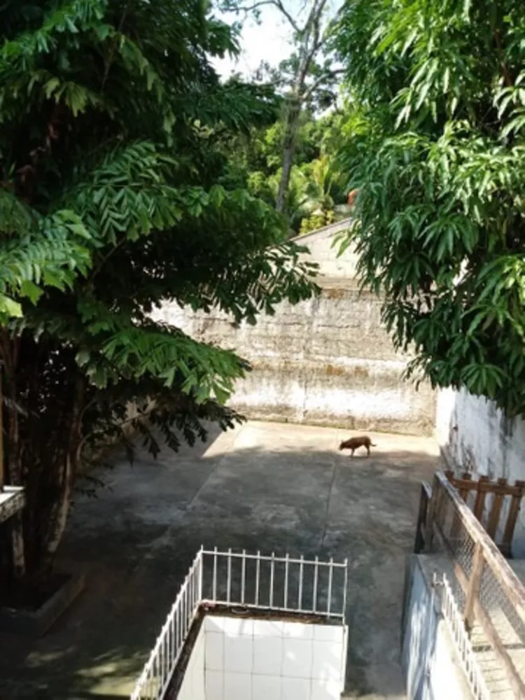 Casa, 3 quartos, 302 m² - Foto 5