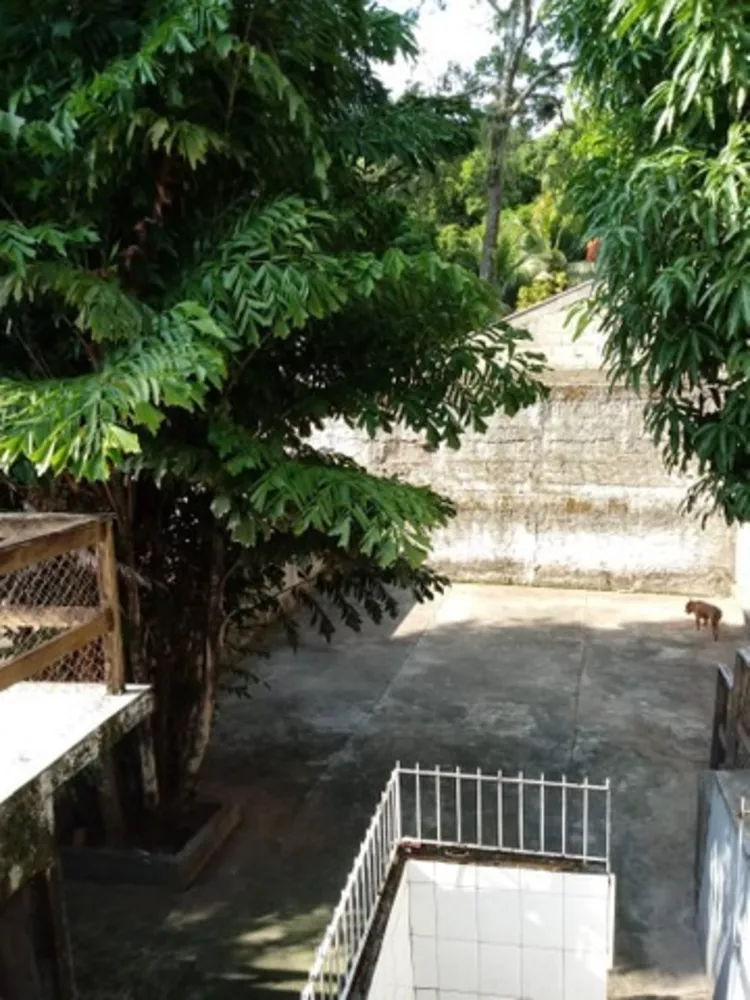 Casa, 3 quartos, 302 m² - Foto 10