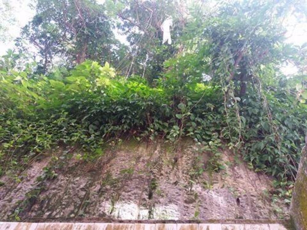 Apartamento, 2 quartos, 55 m² - Foto 12
