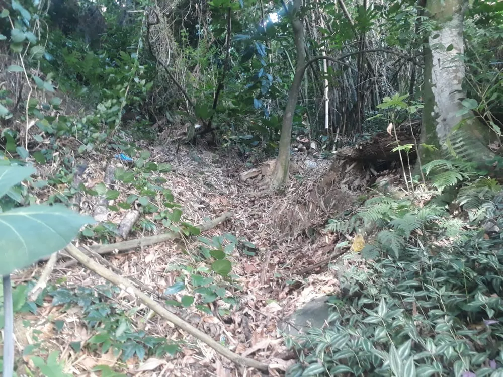 Terreno, 450 m² - Foto 5