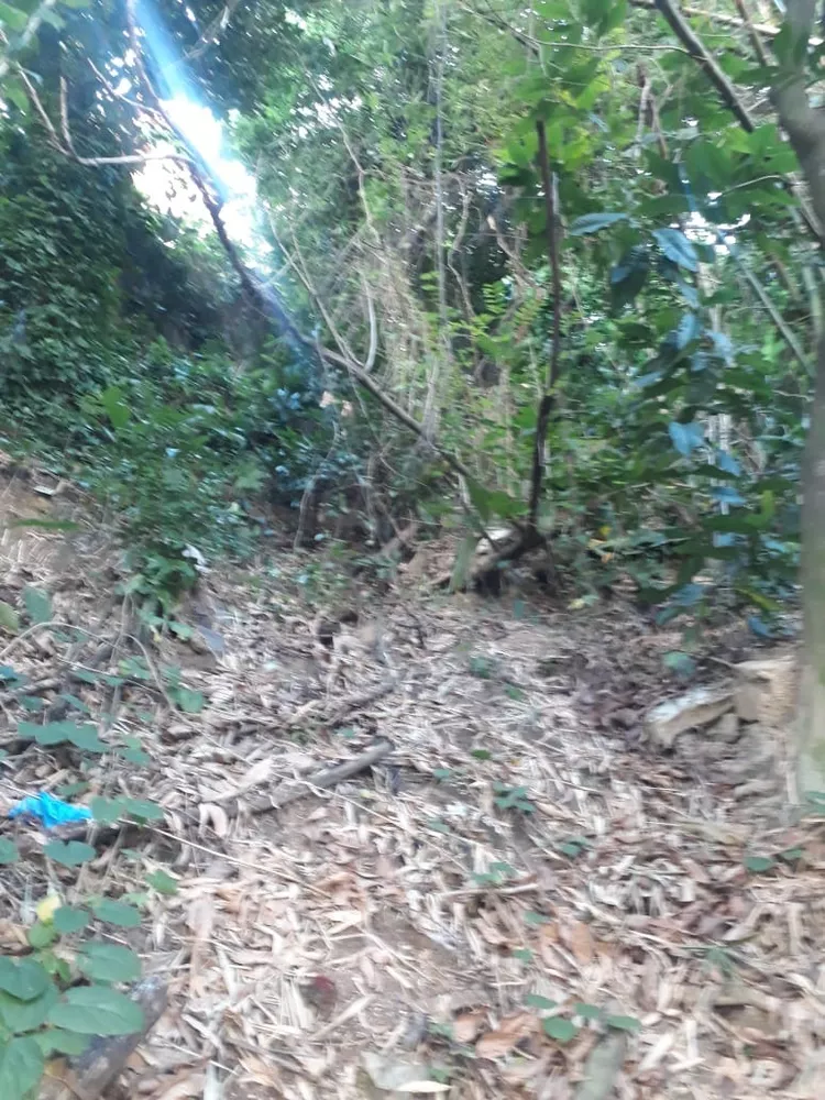 Terreno, 450 m² - Foto 7