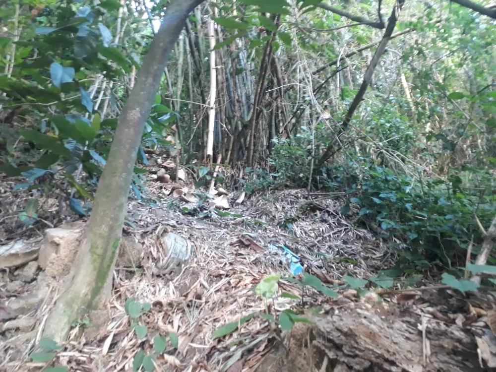 Terreno, 450 m² - Foto 14