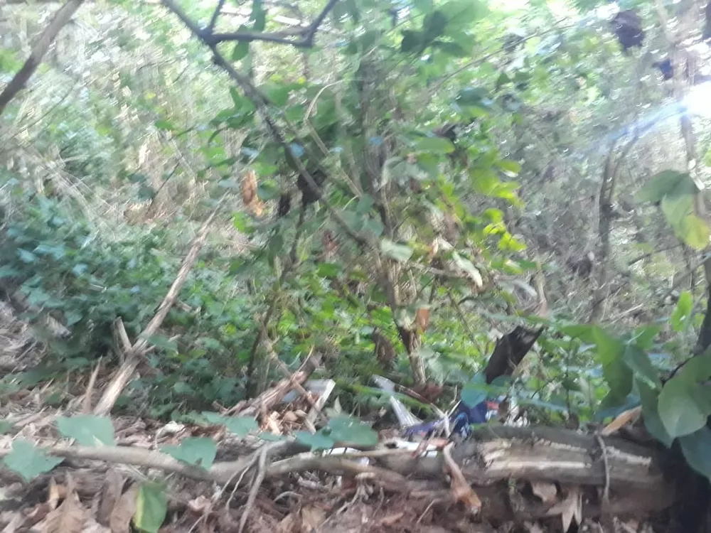 Terreno, 450 m² - Foto 16