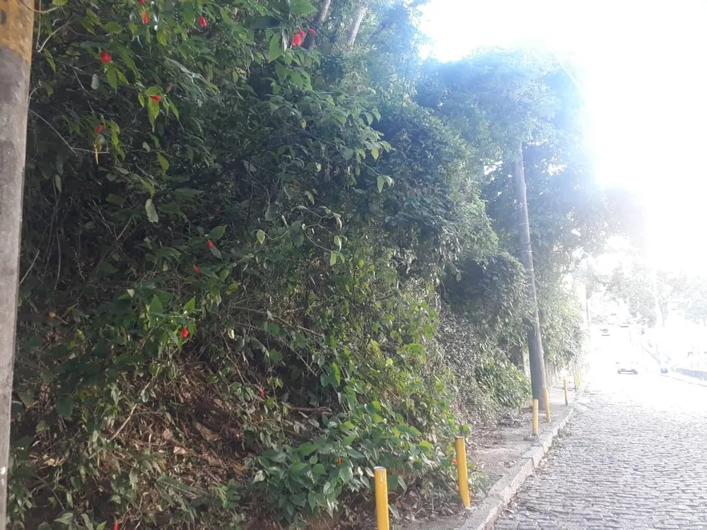 Terreno, 450 m² - Foto 9