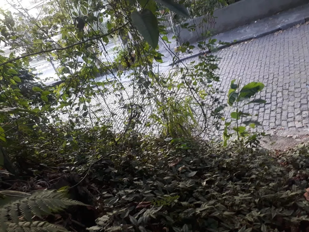 Terreno, 450 m² - Foto 17