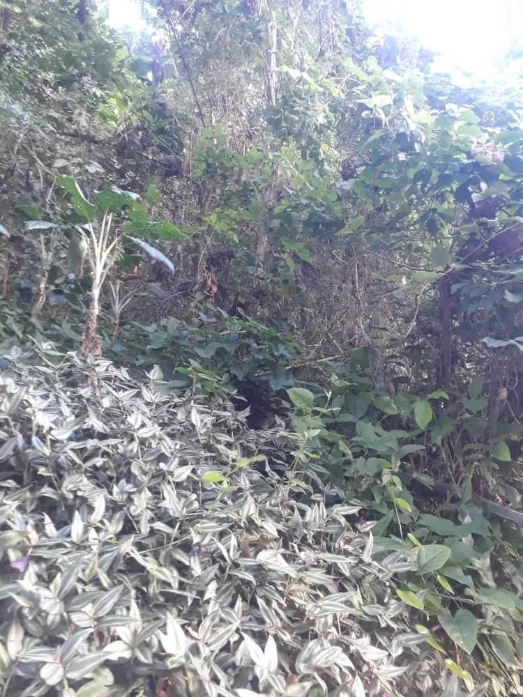 Terreno, 450 m² - Foto 2