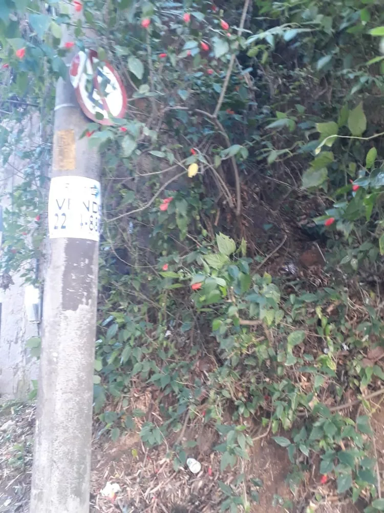 Terreno, 450 m² - Foto 9