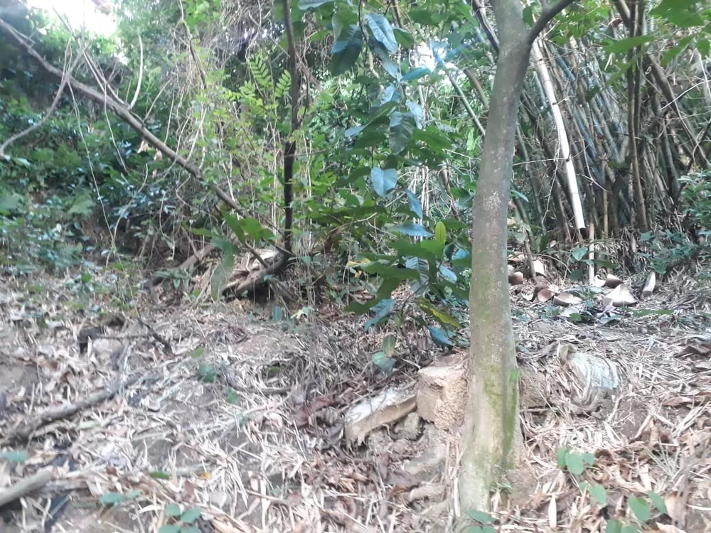 Terreno, 450 m² - Foto 18