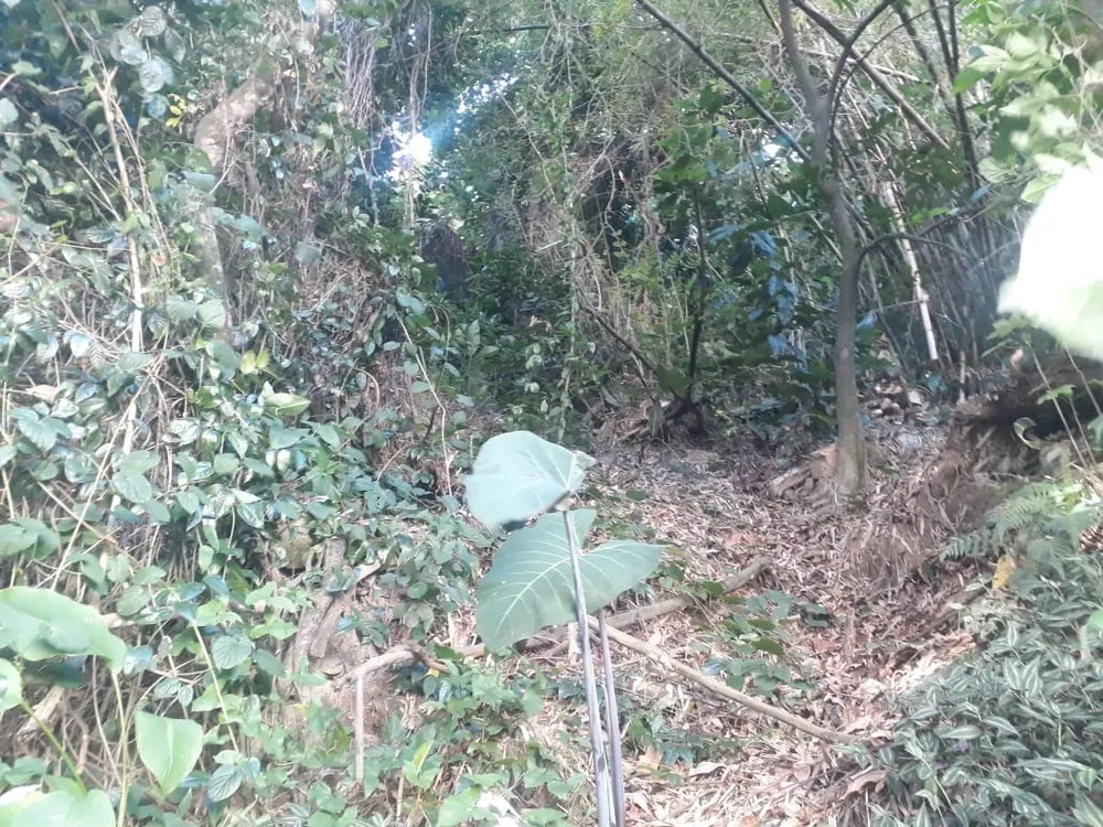 Terreno, 450 m² - Foto 37