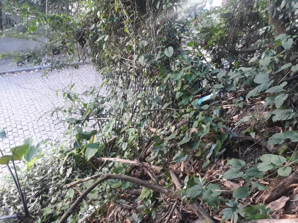 Terreno, 450 m² - Foto 15