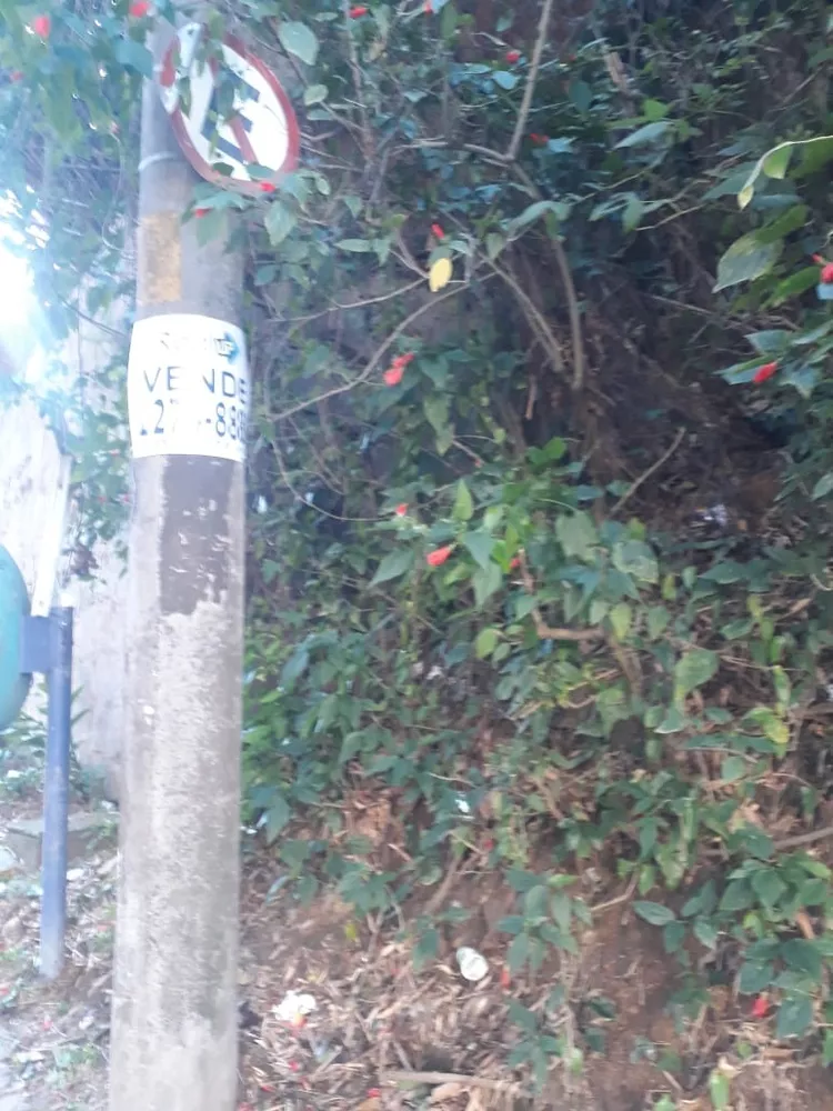 Terreno, 450 m² - Foto 12