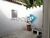 Casa, 6 quartos, 553 m² - Foto 2