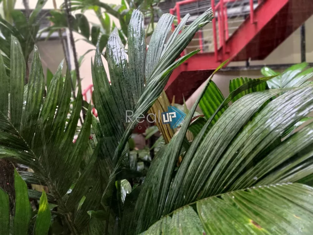 Sala-Conjunto, 236 m² - Foto 47
