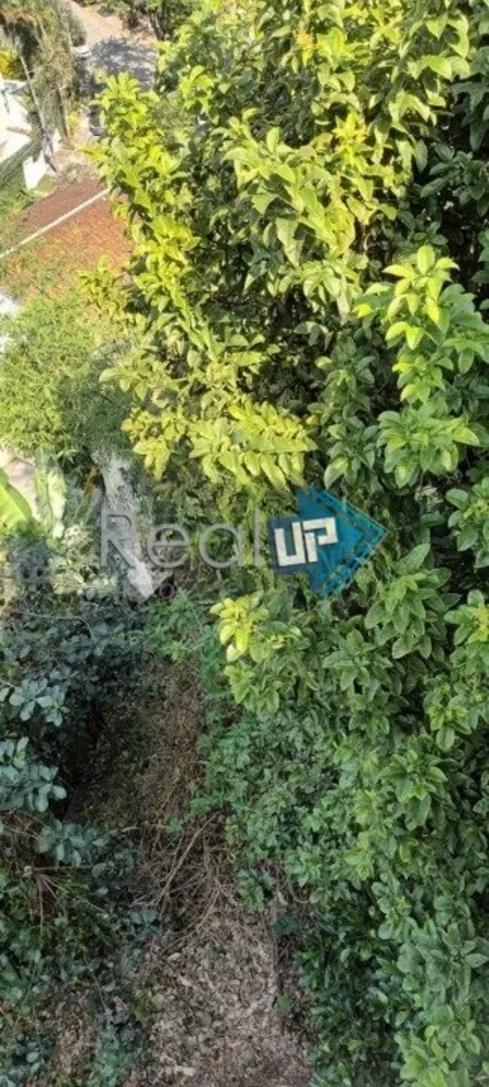 Terreno, 425 m² - Foto 16
