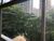 Apartamento, 4 quartos, 206 m² - Foto 4