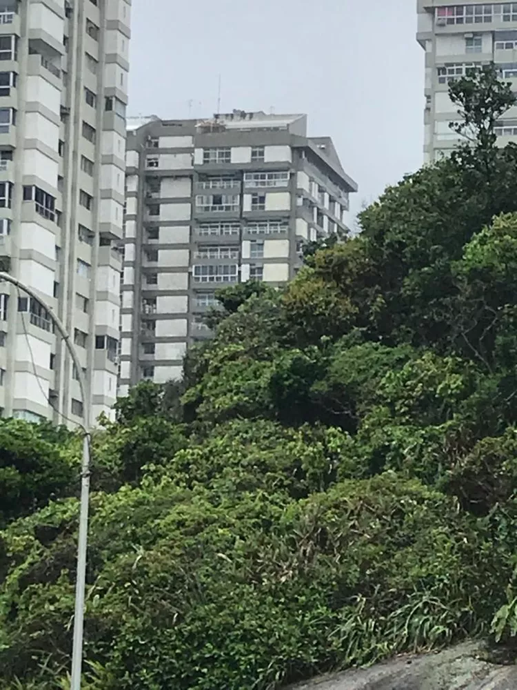 Apartamento, 5 quartos, 230 m² - Foto 16