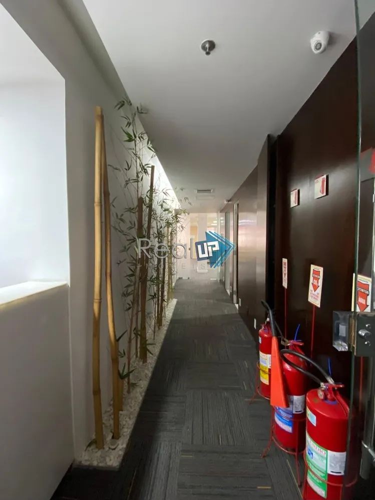 Sala-Conjunto, 569 m² - Foto 14