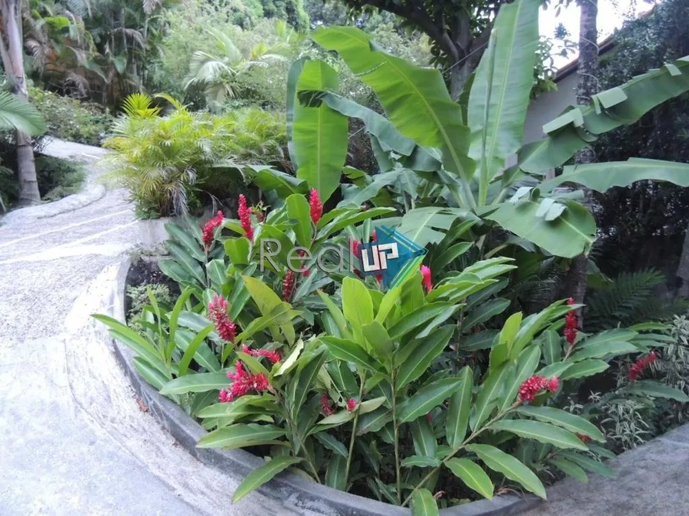 Casa, 3 quartos, 600 m² - Foto 42