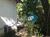 Terreno, 288 m² - Foto 4
