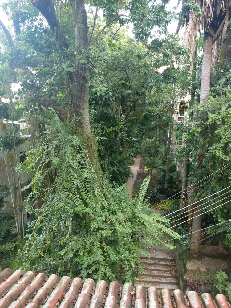 Casa, 7 quartos, 190 m² - Foto 40