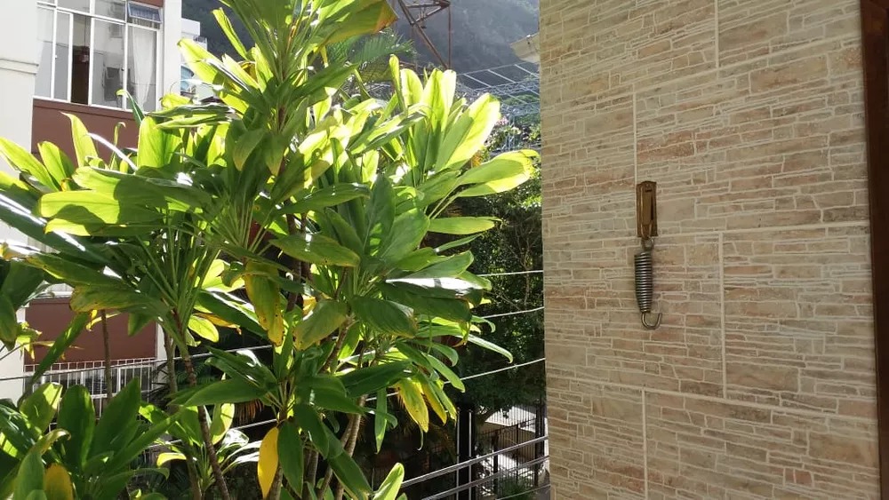 Casa, 6 quartos, 250 m² - Foto 3
