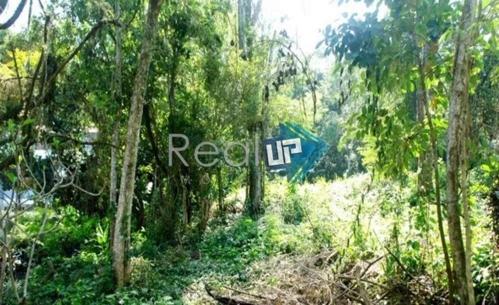 Terreno, 3800 m² - Foto 6