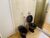 Apartamento, 4 quartos, 170 m² - Foto 8
