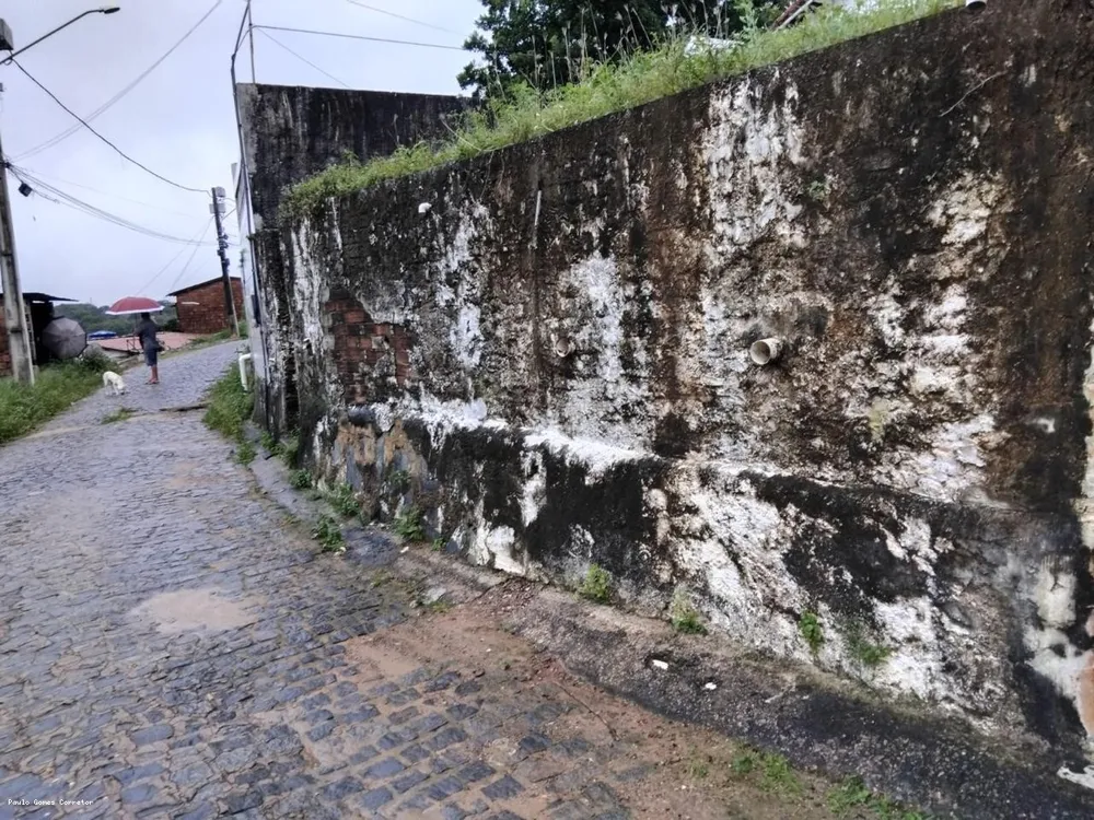 Casa, 4 quartos - Foto 5