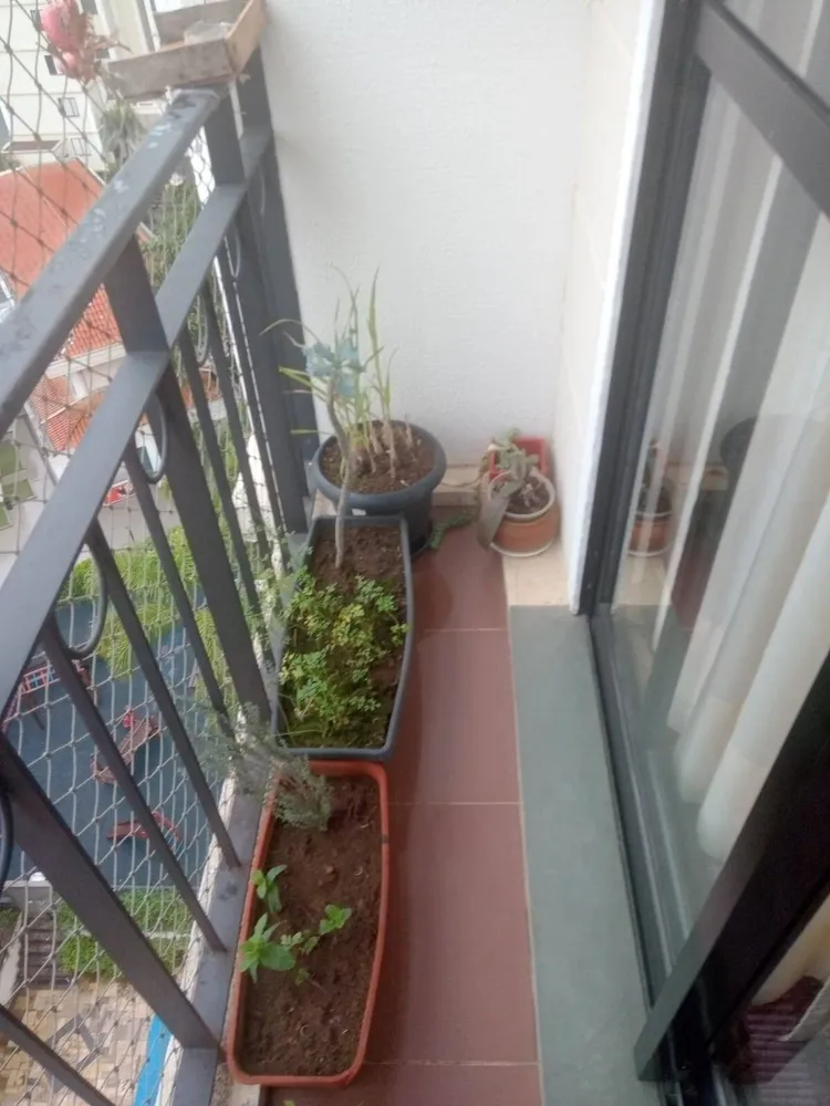 Apartamento, 3 quartos, 60 m² - Foto 3