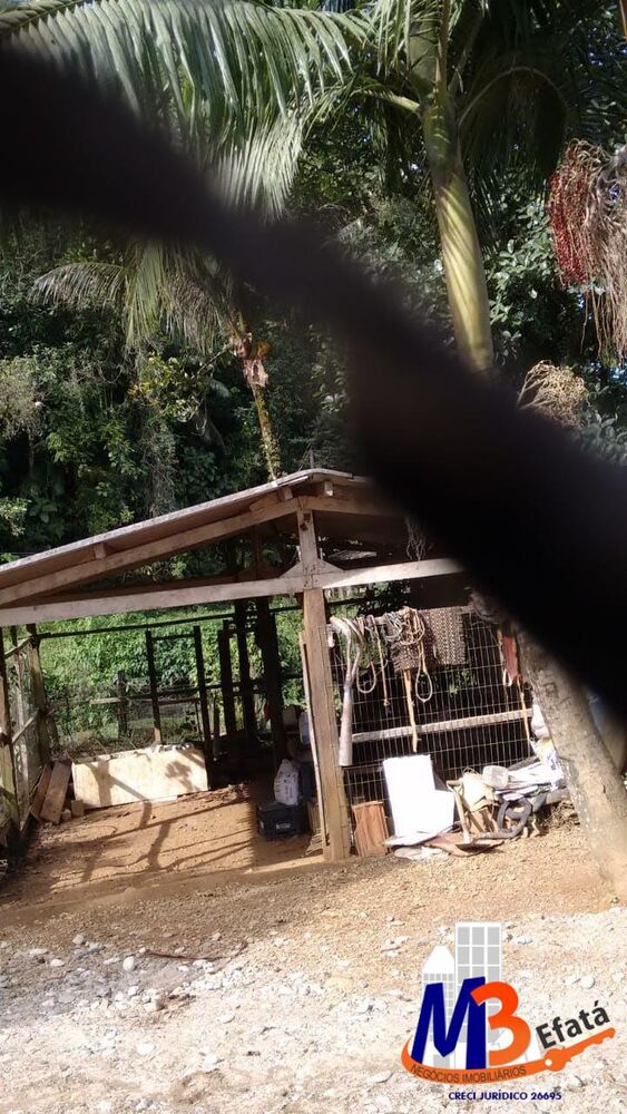 Sítio à venda com 3 quartos, 12m² - Foto 12