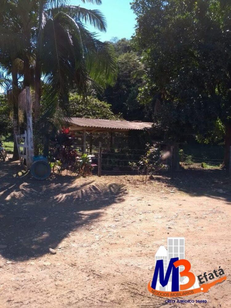 Sítio à venda com 3 quartos, 12m² - Foto 4